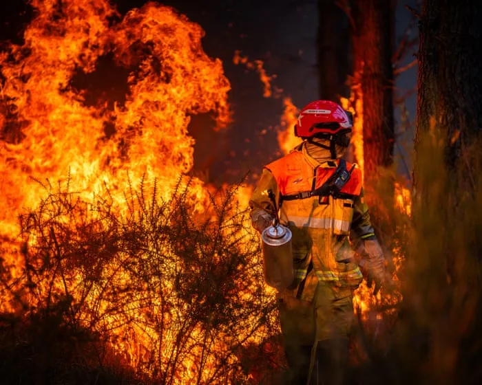 France confronts arson problem after devastating summer of wildfires