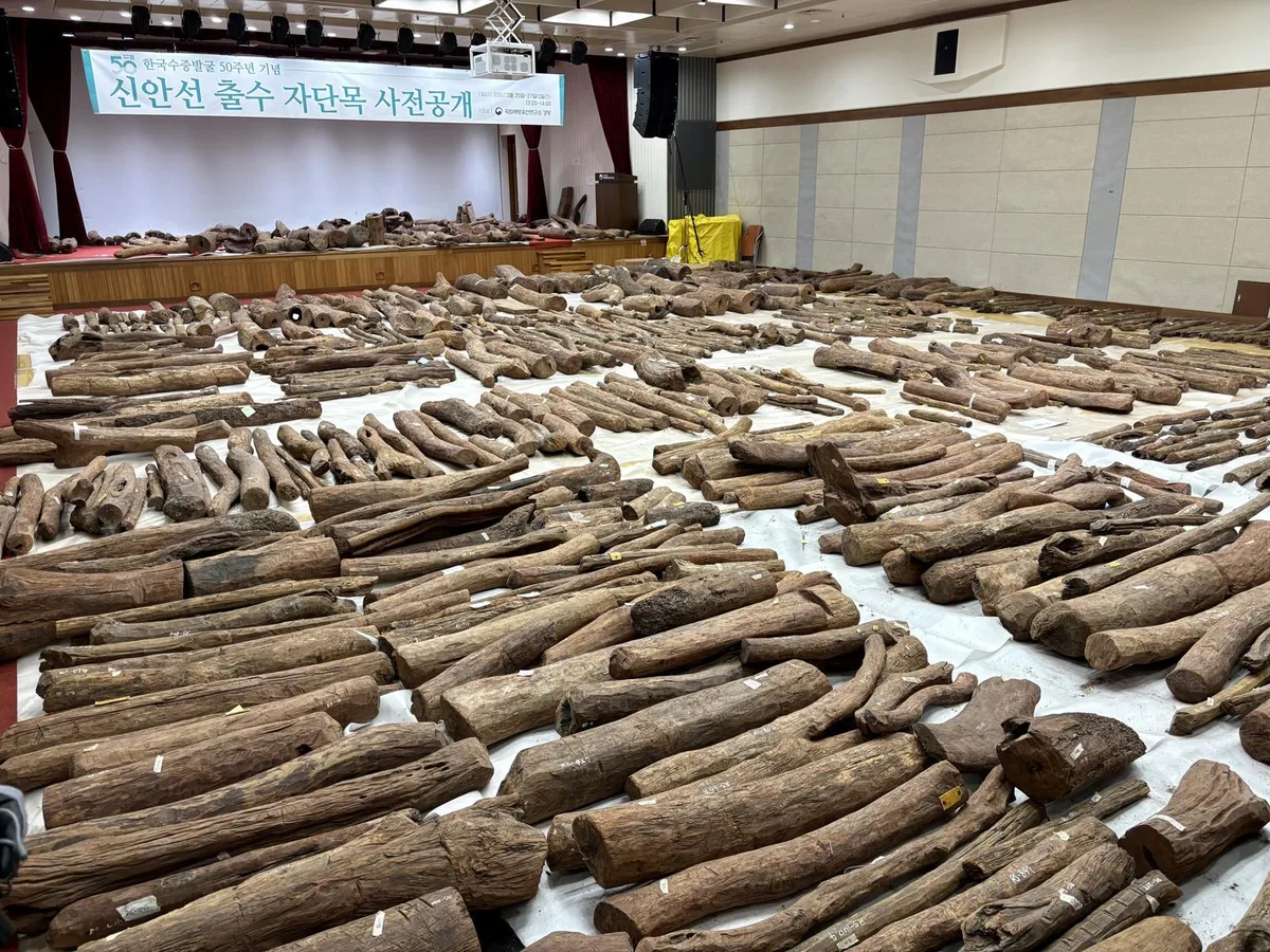 신안선 자단목서 700년 전 해양 물류 기록 발견…14세기 무역선 가능성
