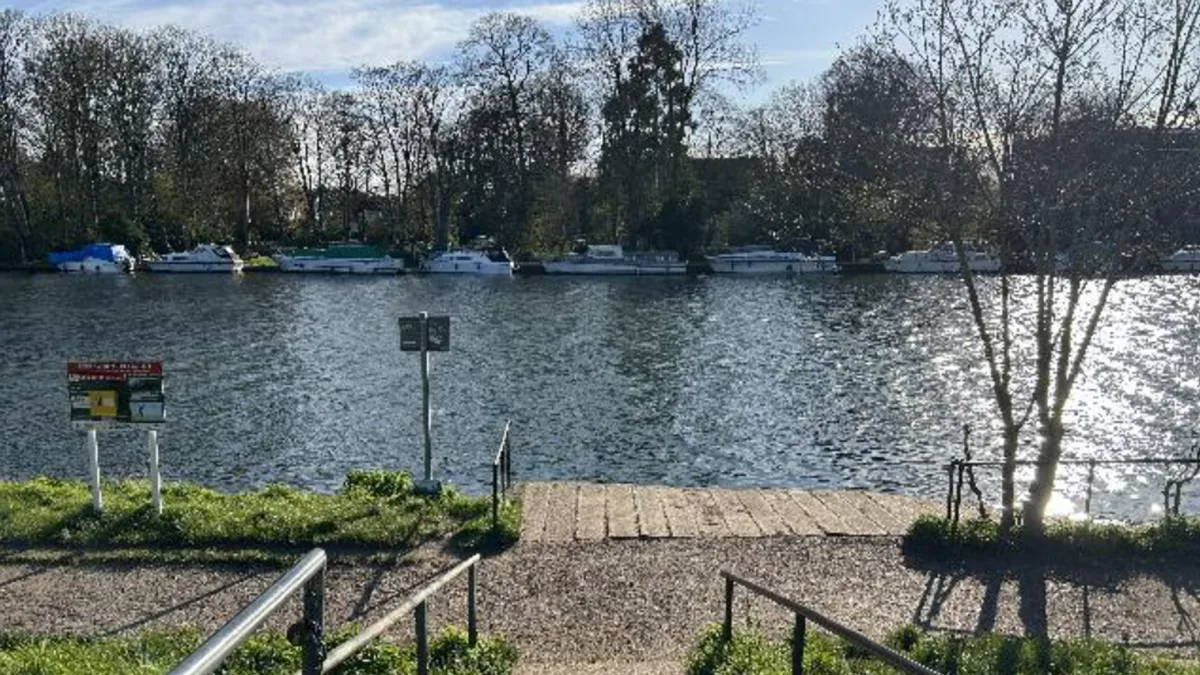 Swimmers told to avoid London's only Thames bathing spot due to 'toxic algae'