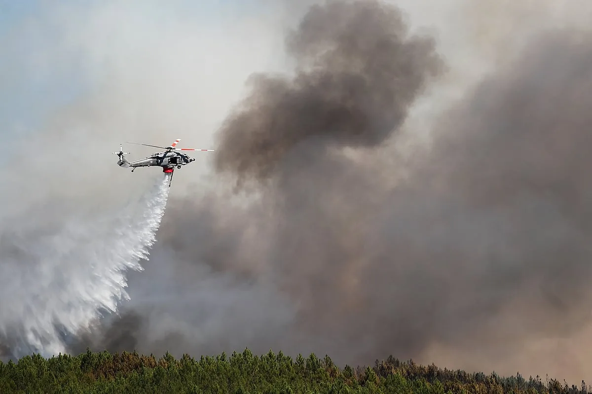 Fogos em Proença-a-Nova e Mirandela em fase de resolução. Incêndio em Portel é o que mais preocupa