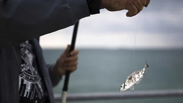 Interessados em exportar pescado para Vietname devem avisar até dia 20