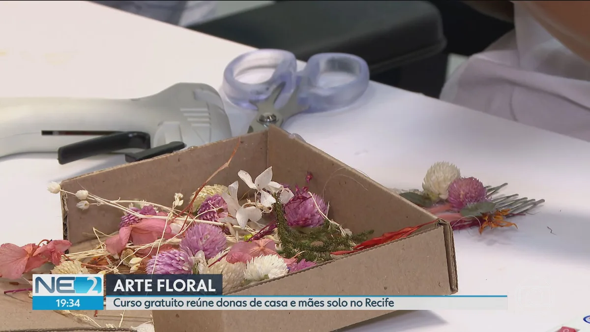 VÍDEOS: NE2 de sábado, 19 de setembro de 2026