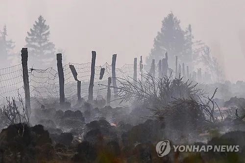 "폭염·산불 뒤에 홍수 온다"…유럽 극한기후 악순환 경고