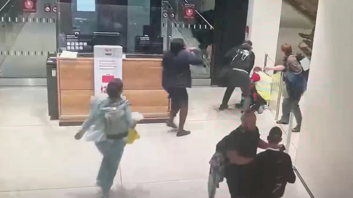 BILD-Reporter über BER-Prügelvideo - “Der war wie im Blutrausch“