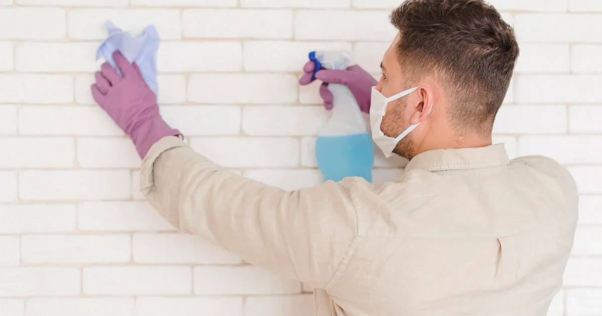 Cómo limpiar el moho de la pared: paso a paso para quitarlo y que no vuelva a aparecer