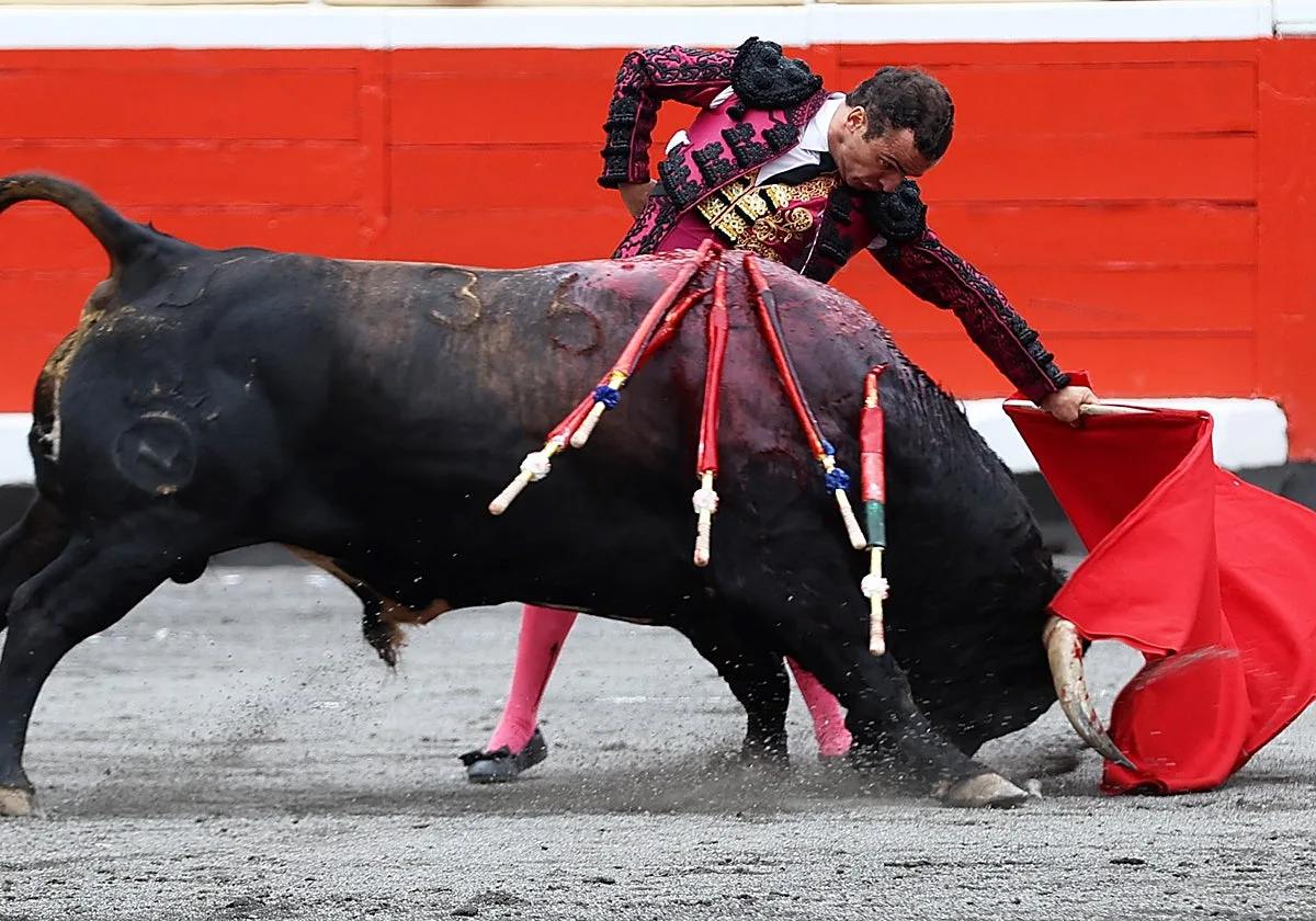 La pasión por Dolores estalla con Belmontino