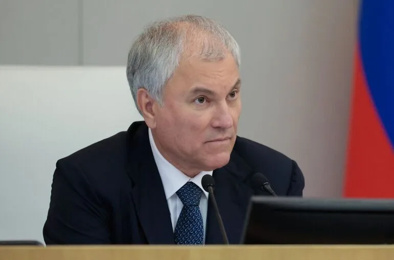 Володин поручил взять на контроль реализацию закона об IT-аутсорсинге