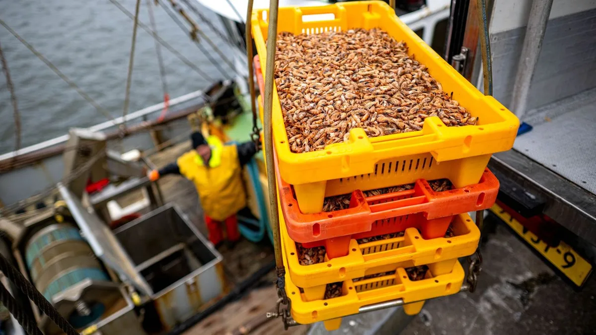 Fischerei im Wattenmeer: Goldschmidt will fischereifreie Zonen im Wattenmeer