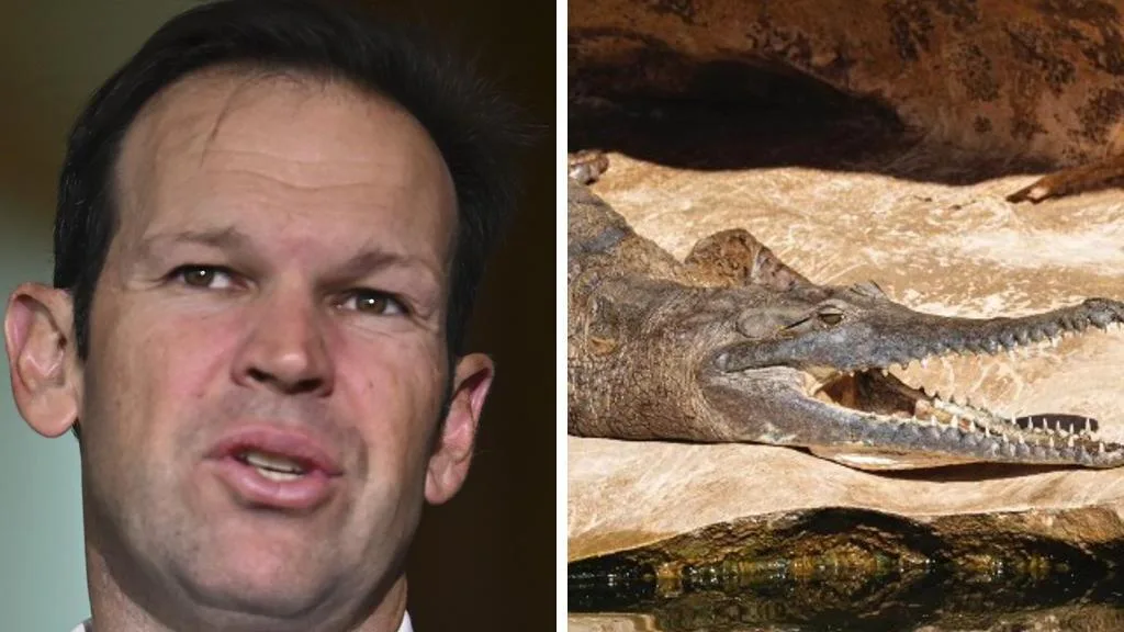 Matt Canavan demands BBC apologise after broadcaster uses wrong crocodile footage
