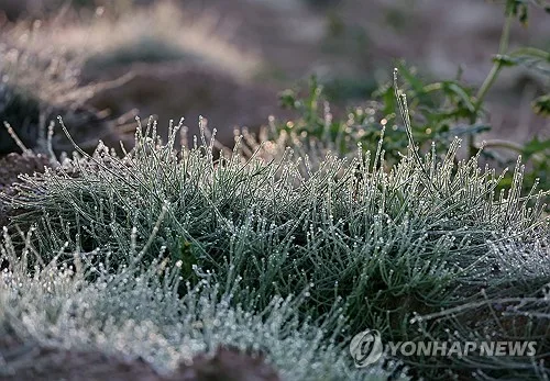 강원 대체로 맑고 쌀쌀…큰 일교차·강한 바람