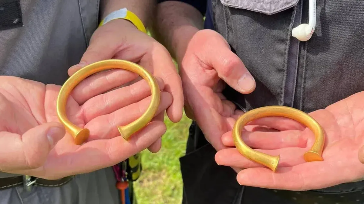 A British metal detectorist thought he'd found a bull's nose ring