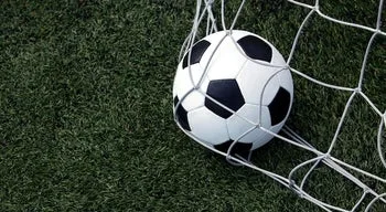 Margarida Balseiro Lopes aponta futebol como exemplo para o resto do país