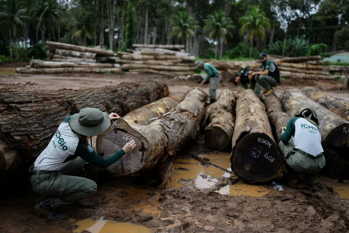 World faces nature reality check at UN biodiversity conference