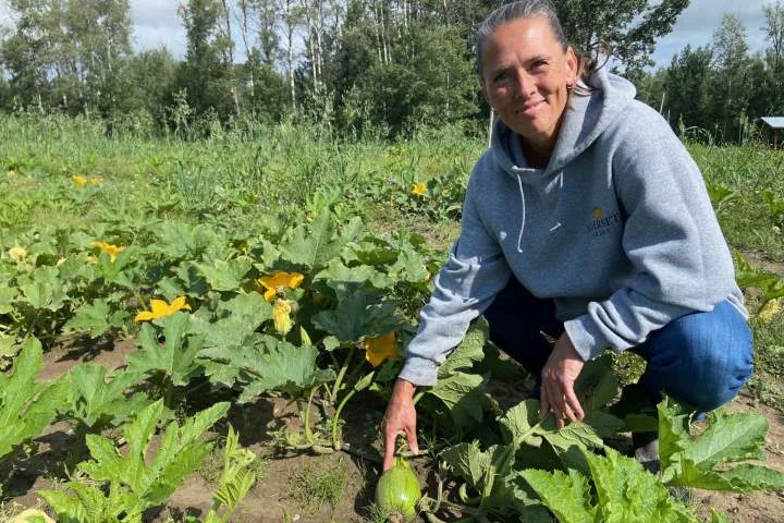 Pumpkin problems: Alberta’s wet summer affecting annual crop