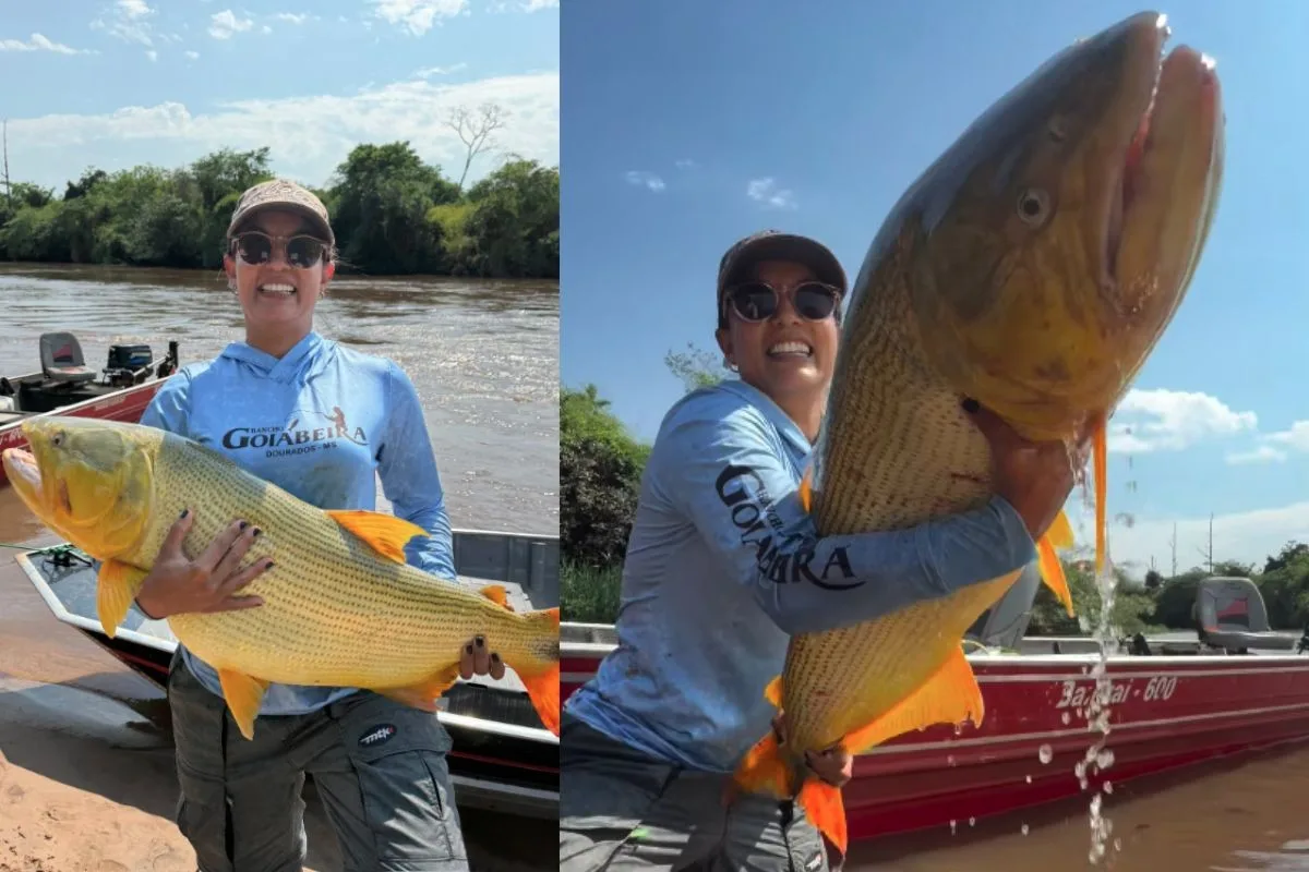 'Achei a barra de ouro': empresária fisga peixe dourado gigante de 18 kg em rio de Mato Grosso do Sul