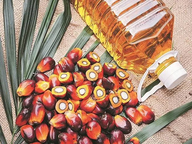 Uttar Pradesh govt targets 4.8 million tonnes of oilseeds output