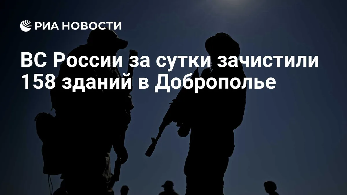 ВС России за сутки зачистили 158 зданий в Доброполье
