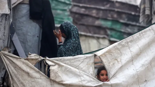 Gaza. Embaixada da Palestina agradece a Portugal acolhimento de crianças