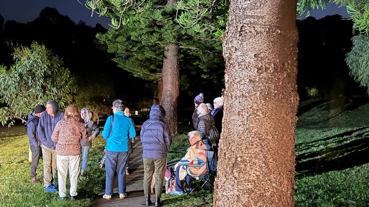 Hilton Park redevelopment paused as locals call special meeting to save 26 trees from the axe