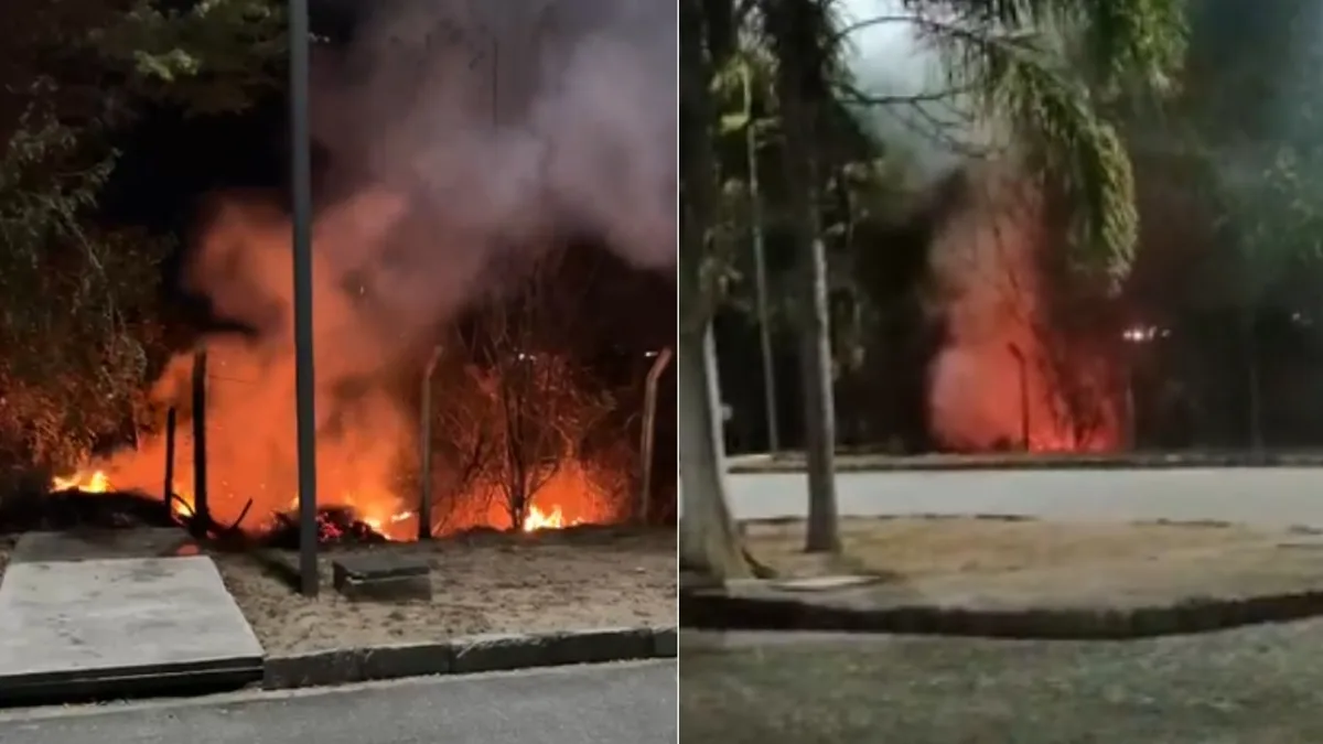 Incêndio é registrado em vegetação fora da cerca da UFPE em Caruaru; VÍDEO