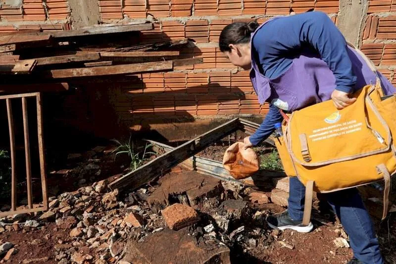 Mortes por chikungunya somam 31 no ano em Mato Grosso do Sul