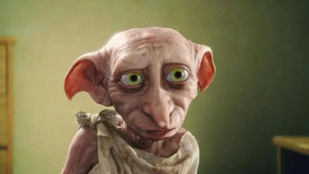‘Harry Potter’: Fãs impedem obra de passar pelo túmulo de Dobby; Saiba mais!