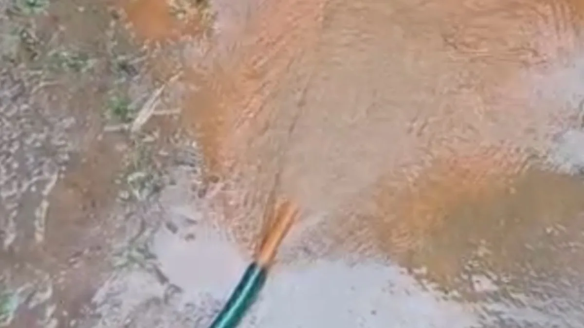 Vecinos de Las Terrazas en Apure casi no les llega agua... y cuando tienen sale marrón
