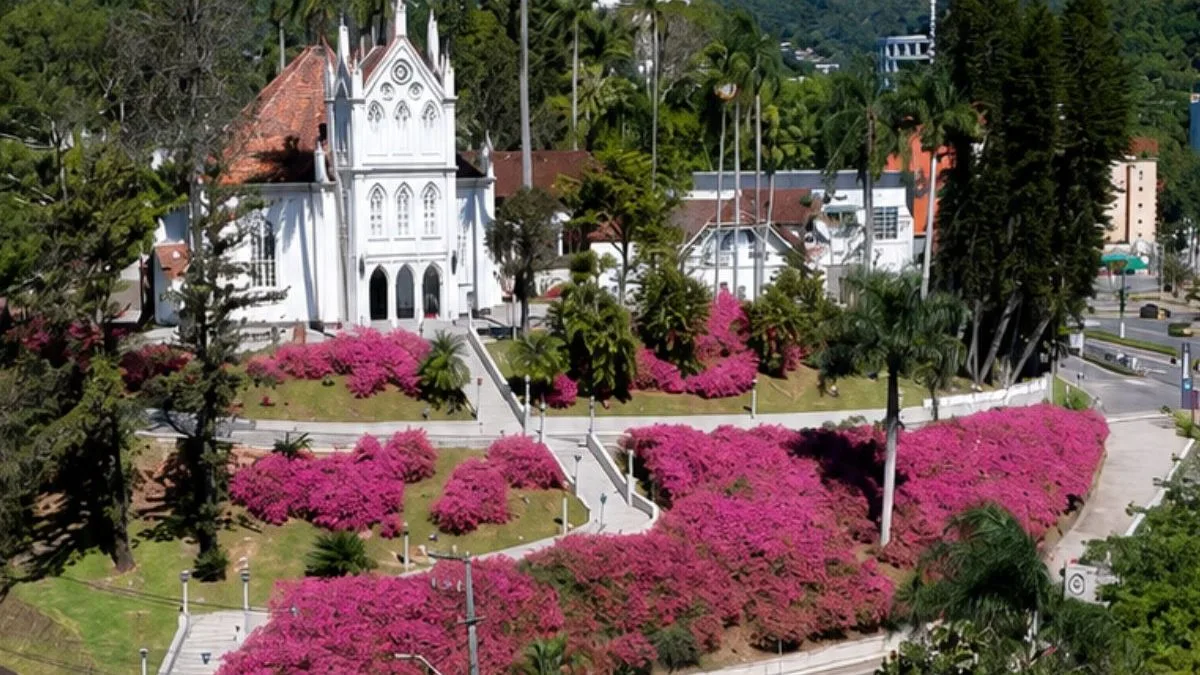 FOTOS: ‘Mar’ de azaleias transforma completamente igreja centenária em SC e cor das flores esconde significado ligado à fé luterana mundial