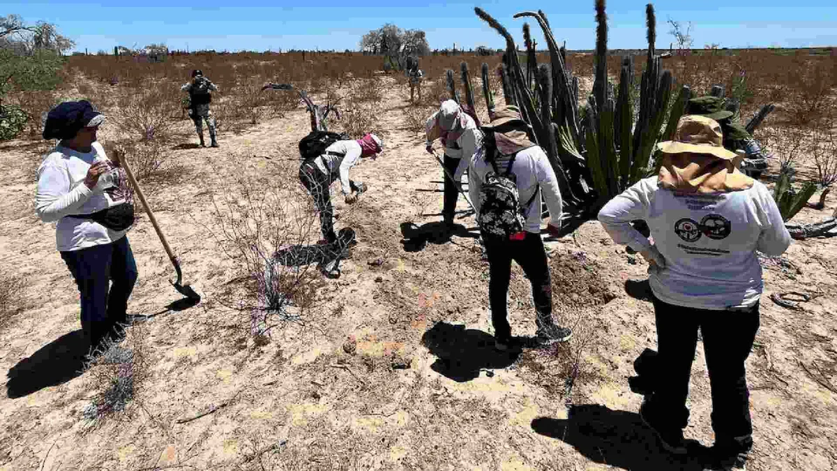 Violencia contra madres buscadoras en México llegará a la ONU: colectivos presentarán informe especial en EEUU