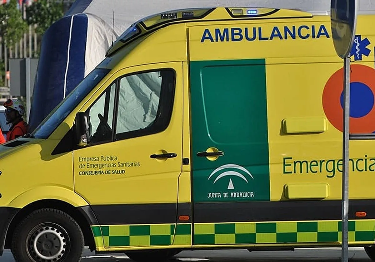 Herido un motorista accidentado en Nervión