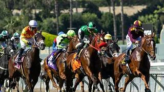Entrenador venezolano se titula campeón en este hipódromo en Estados Unidos