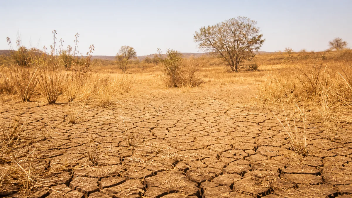 Frio perde força no Sul e baixa umidade segue em 11 estados