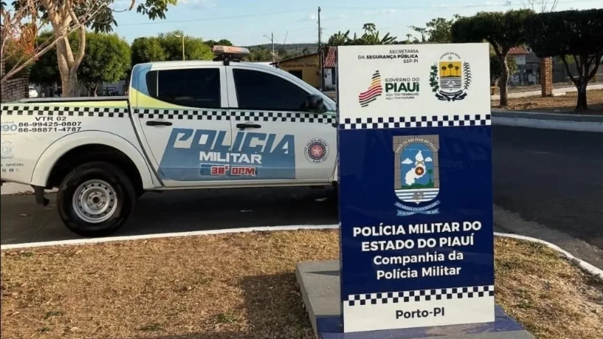 Homem morre após ser atingido por palmeira durante corte com motosserra no PI