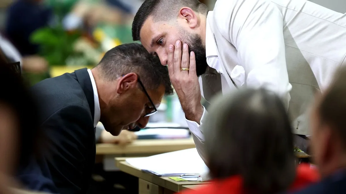 Landtag Sachsen-Anhalt: AfD in Sachsen-Anhalt will Ausschussvorsitz an BSW abtreten