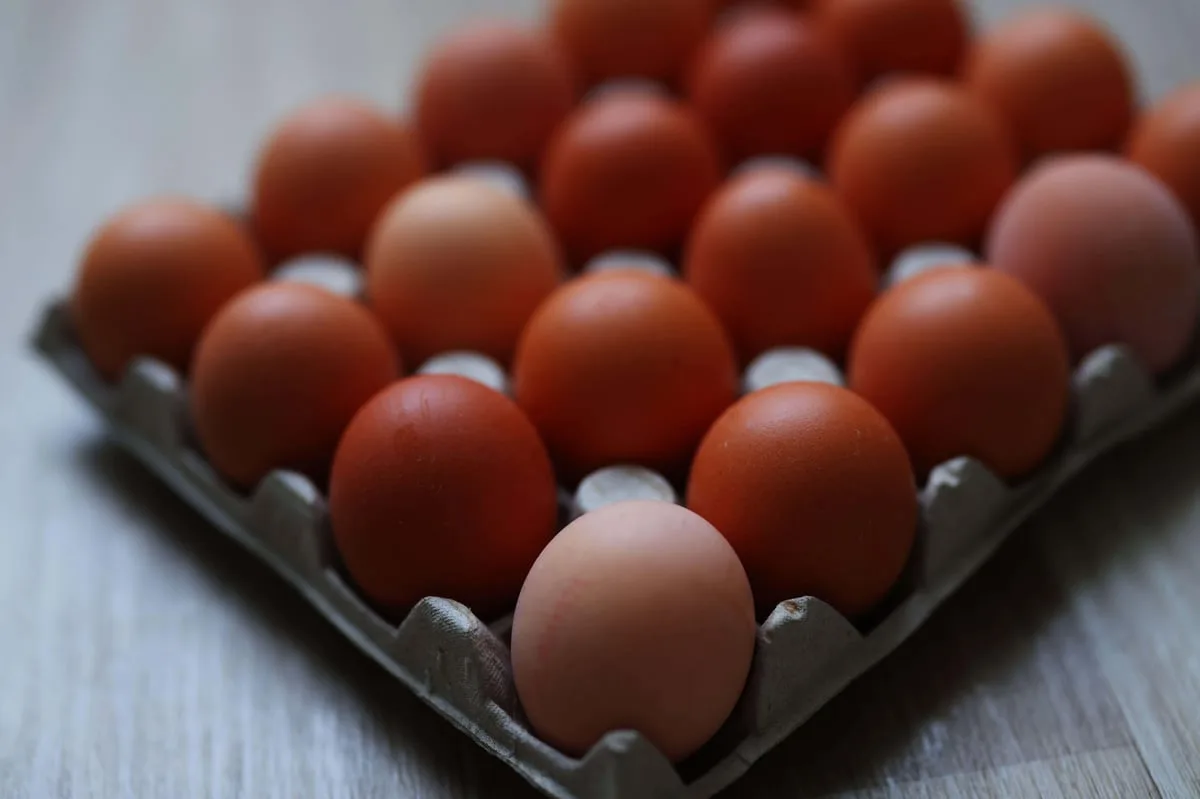 Rise in salmonella cases linked to imported eggs
