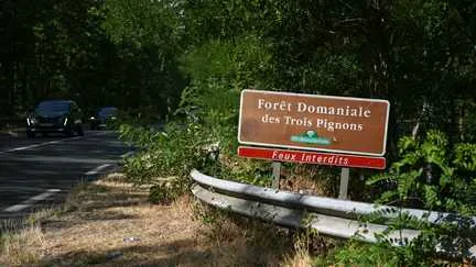"C'est un peu notre jardin" : à peine un mois après l'incendie, la forêt de Fontainebleau rouvre partiellement au public