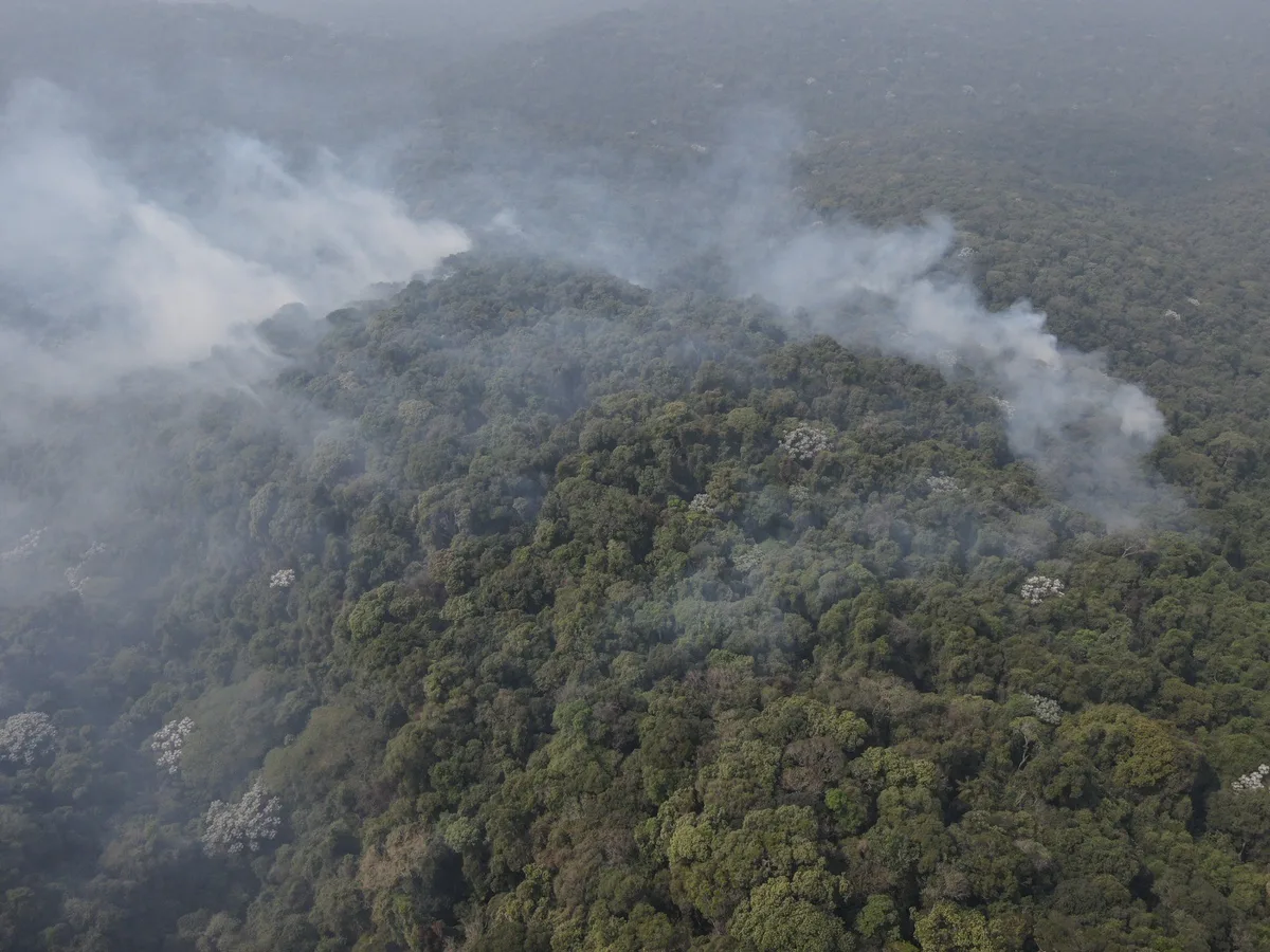 São Paulo tem menor número de focos de calor em setembro desde 1998