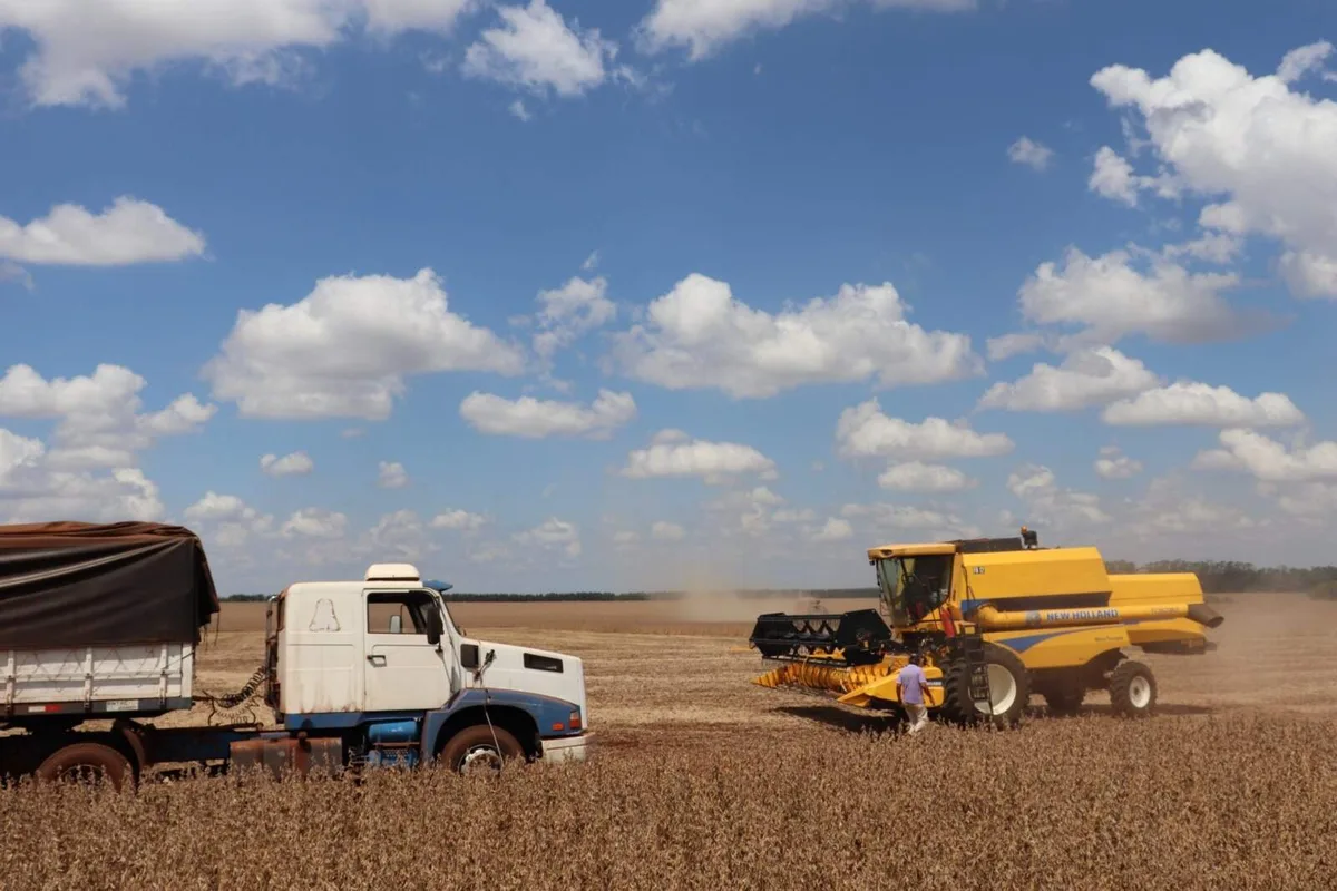 Inadimplência no agronegócio dispara e chega a 20,74% na carteira da Caixa