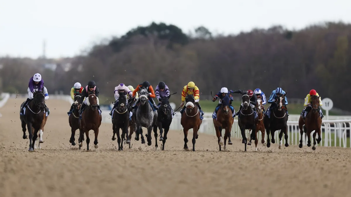 Spirited Gesture and Angel In My Heart clash at Newcastle