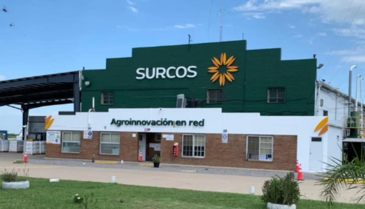 En concurso: una empresa del agro consiguió una prórroga para presentar una propuesta a sus acreedores y hoy factura unos US$20 millones