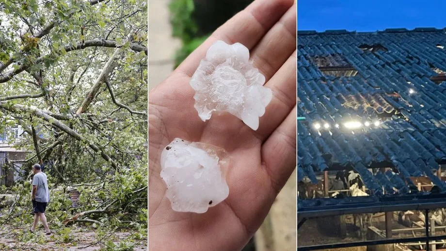 EN IMAGES - Grêle, arbres couchés, trains à l'arrêt : les orages ont fait des dégâts dans plusieurs départements