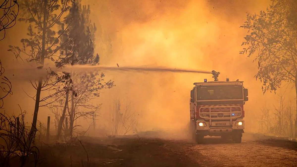 Erderhitzung und Flächenbrände: Klimawandel könnte Waldbrandfläche in Europa verdreifachen