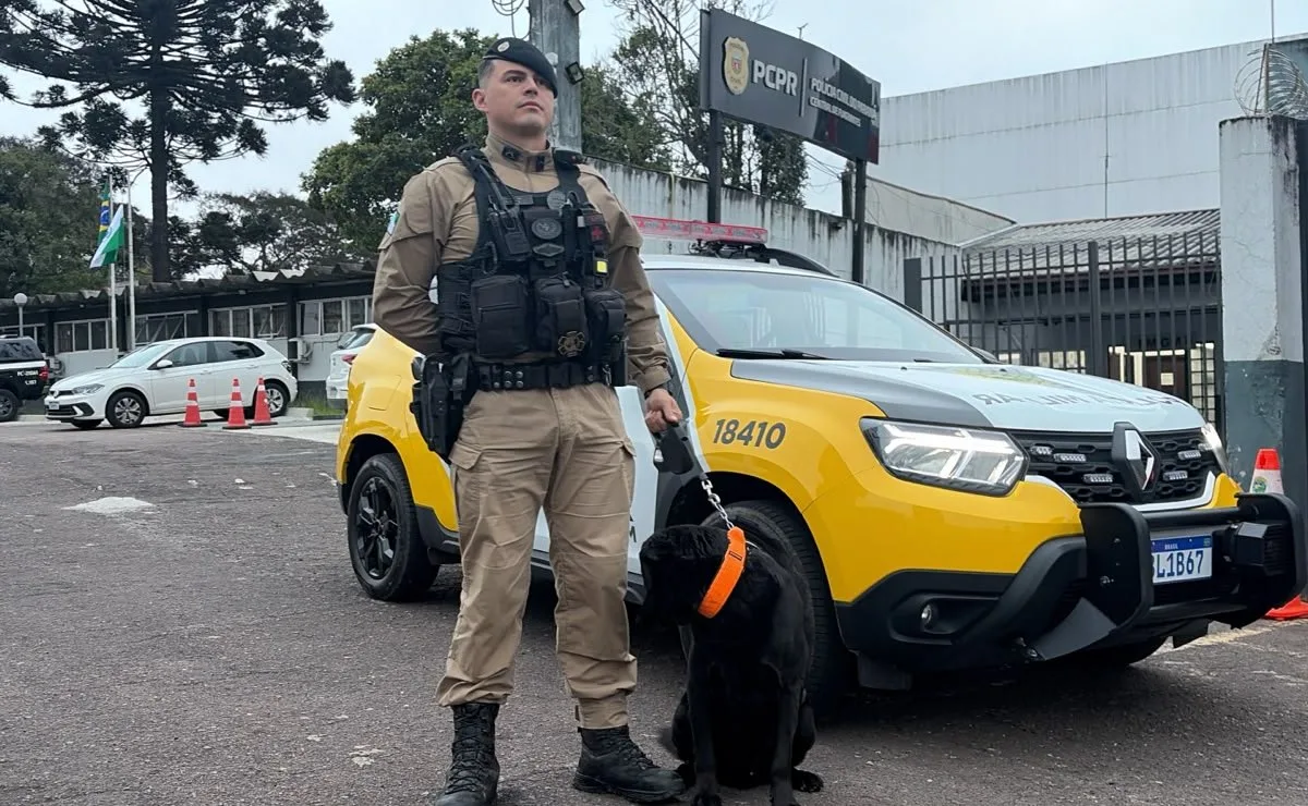 Traficante tenta enganar polícia, se finge de morador em situação de rua mas é descoberto por cão farejador, no Parolin