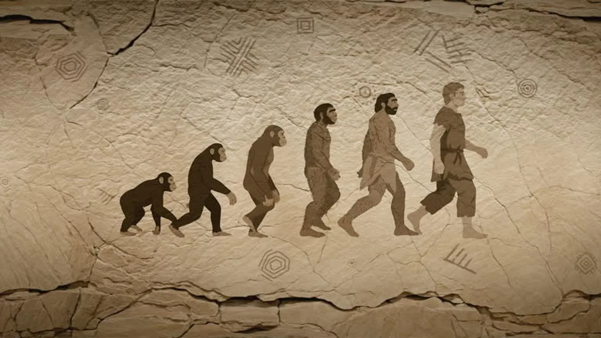 Human ancestors moved from climbing trees to walking on the ground 1.8 million years ago