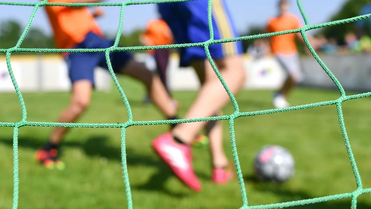 Landessportbund: Immer mehr Mitglieder in Sportvereinen