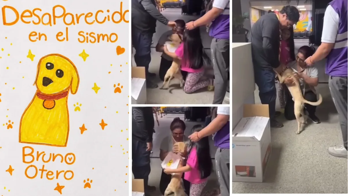 Niña que dibujó a su perro para buscarlo tras el terremoto en Cali logró reencontrarse con Bruno: en video quedó el momento