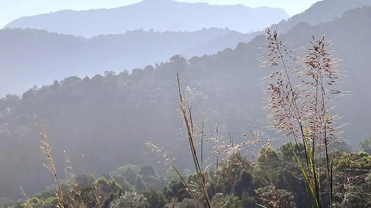 Limit ESA curbs to forest areas in Keralam: Orthodox Church