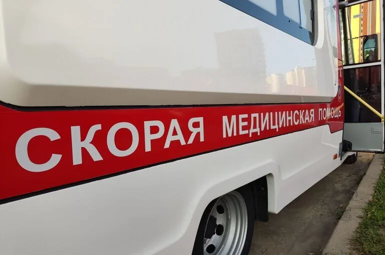 Роспотребнадзор расследует информацию об оспе обезьян в Подмосковье