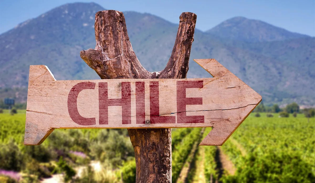 No Dia do Chile, descubra 5 vinhos tintos de excelente custo-benefício