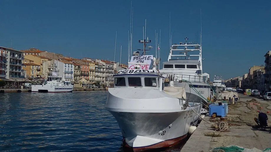 "On ne lèvera pas le camp" : à Sète, les pêcheurs bloquent le port de commerce en attendant des "réponses" politiques